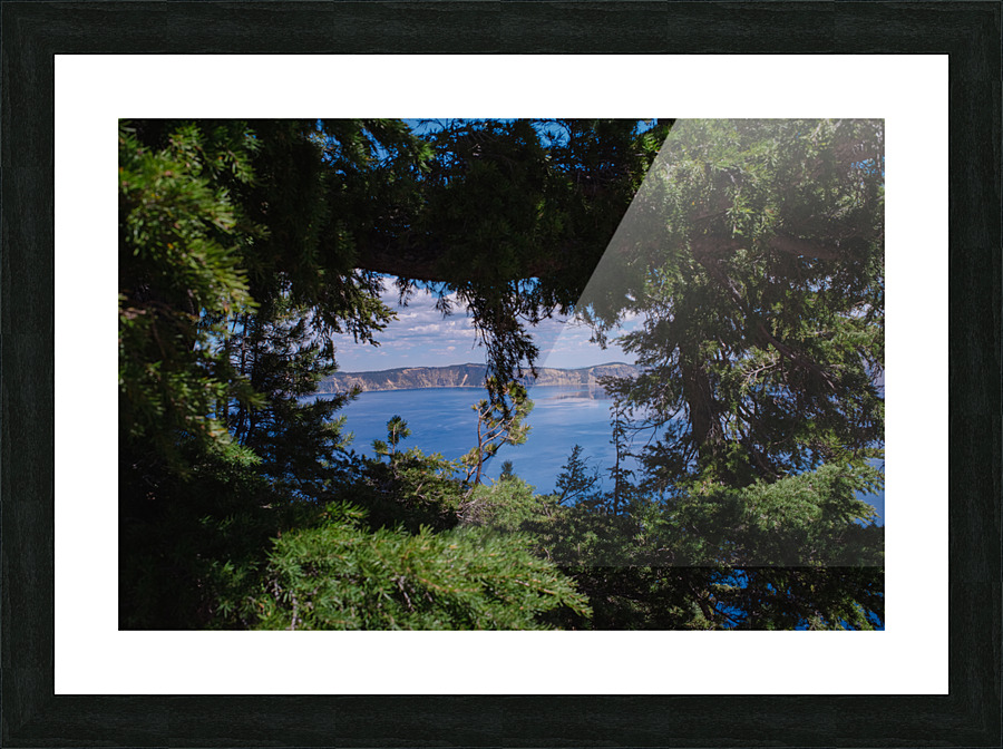 Window View Picture Frame print