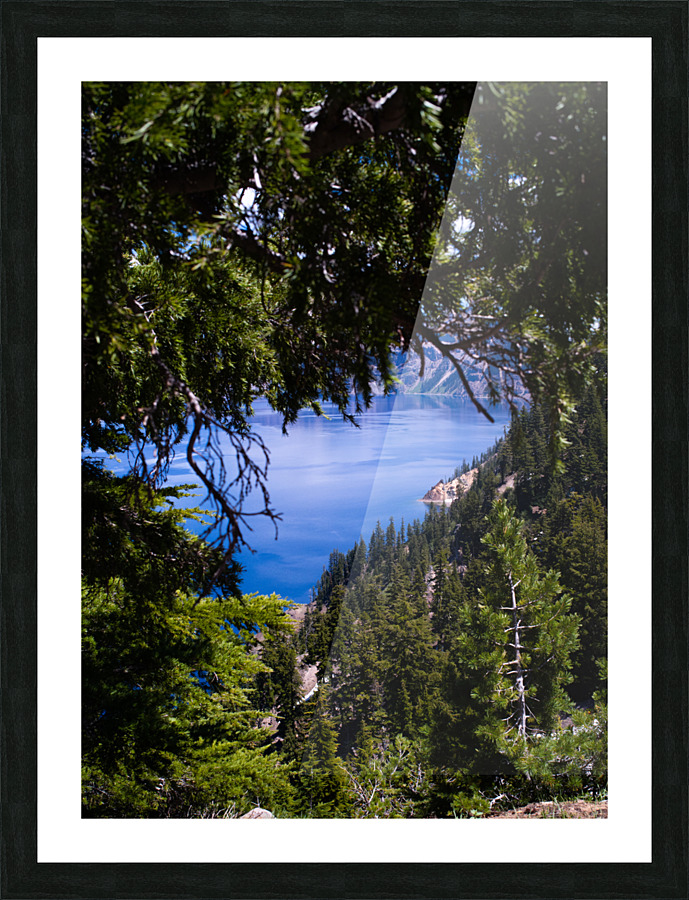 Framed  Picture Frame print