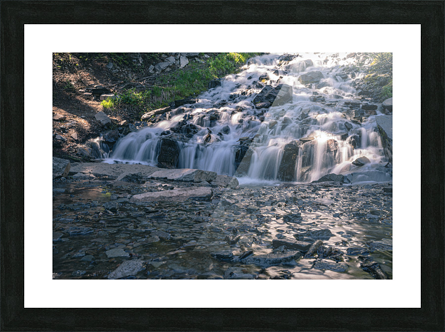 Vidae Picture Frame print