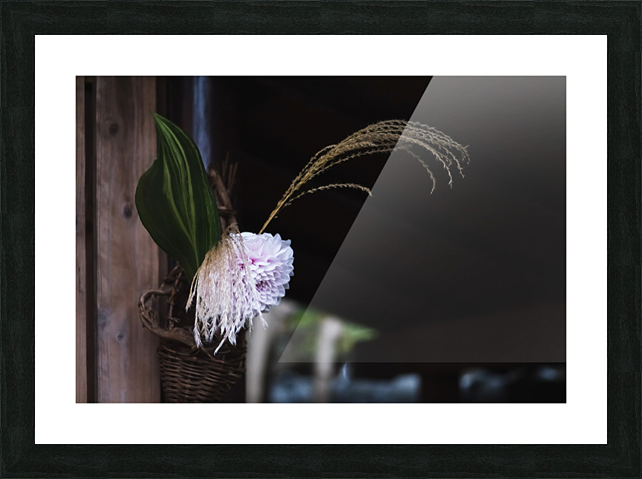 Dahlia Ikebana Picture Frame print