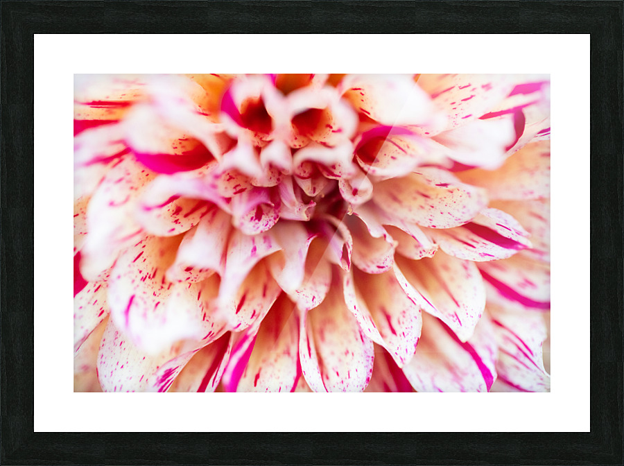 Into Arlequin Picture Frame print