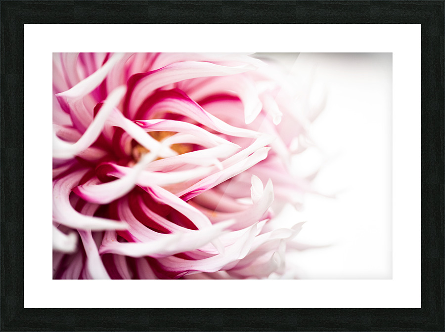 Hanabi Picture Frame print