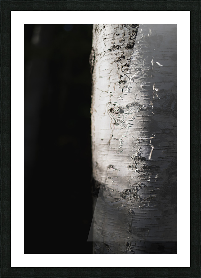 Quake in Contrast Picture Frame print