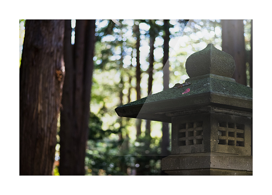 Maruyama Picture Frame print