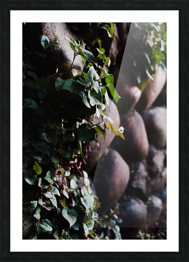 Finding the Crevices  Picture Frame print