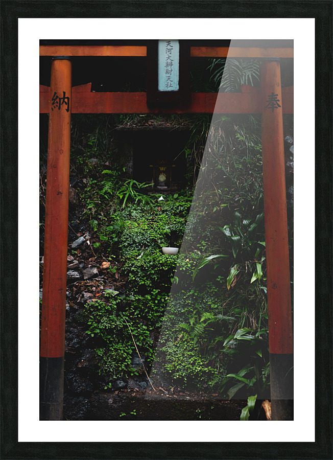 Gate to Another Side Picture Frame print