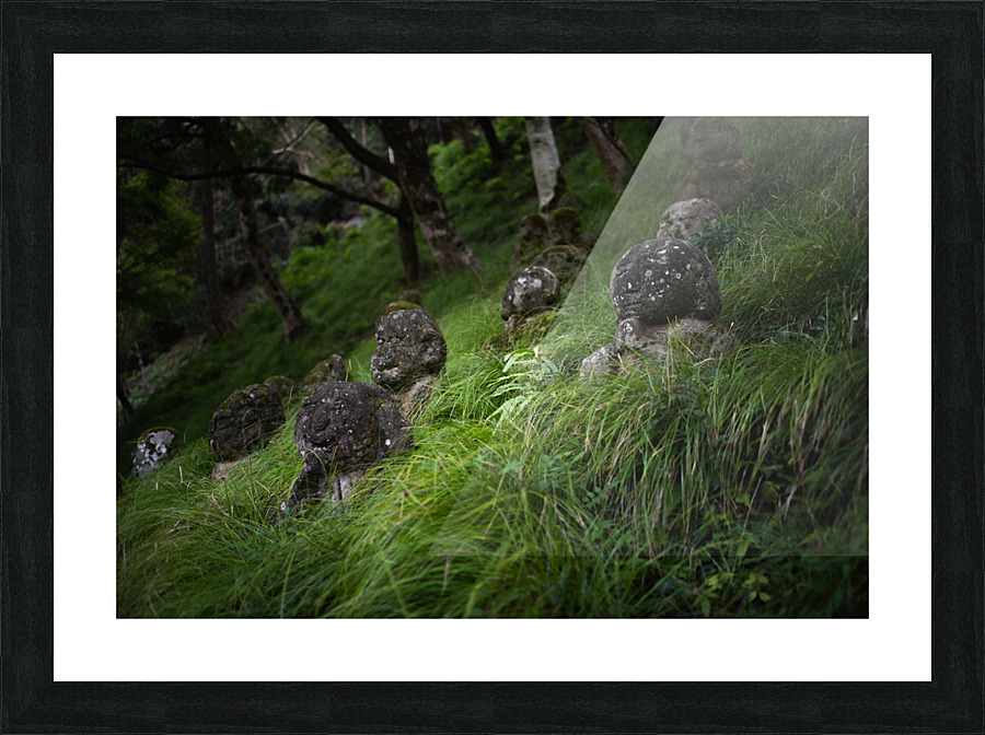 On the Hillside Picture Frame print
