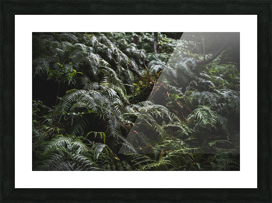 Forest Floor Picture Frame print