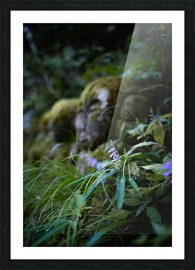 Peaceful Purple Picture Frame print