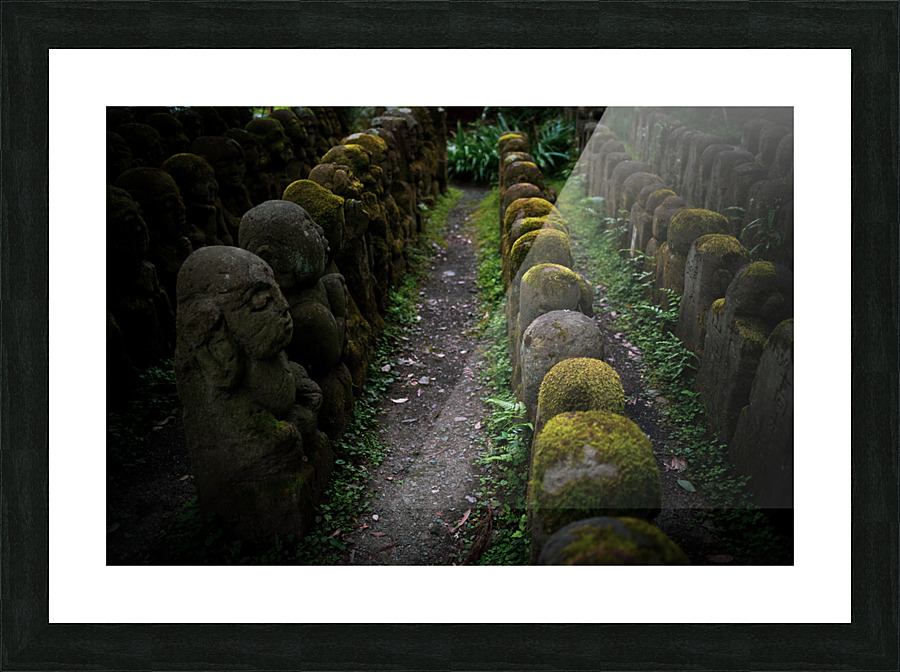 Rakan Picture Frame print