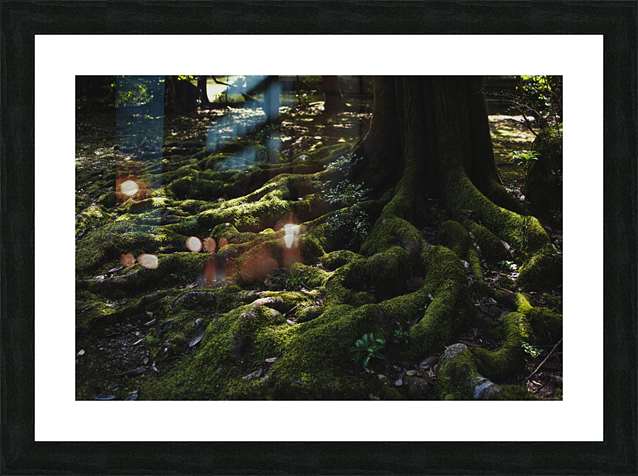 Rooted Picture Frame print