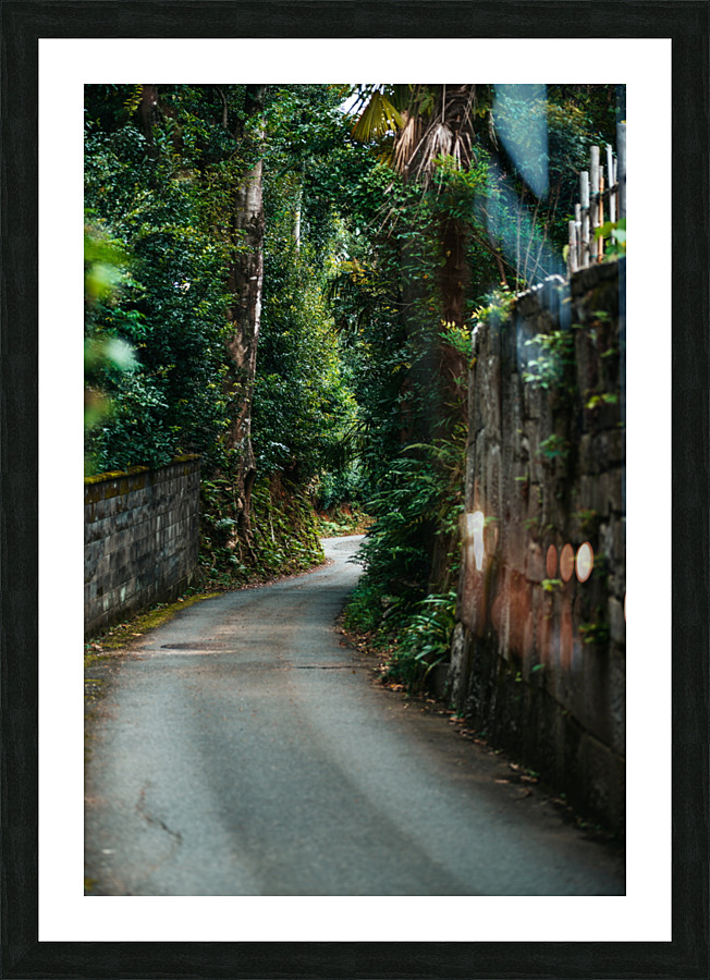 If Only... Picture Frame print