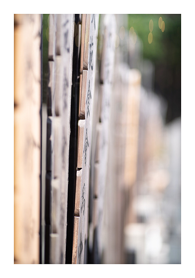 Paying Respect Picture Frame print