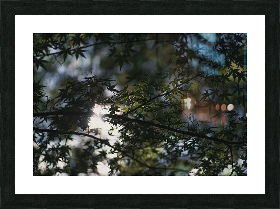 Maple Skies Picture Frame print
