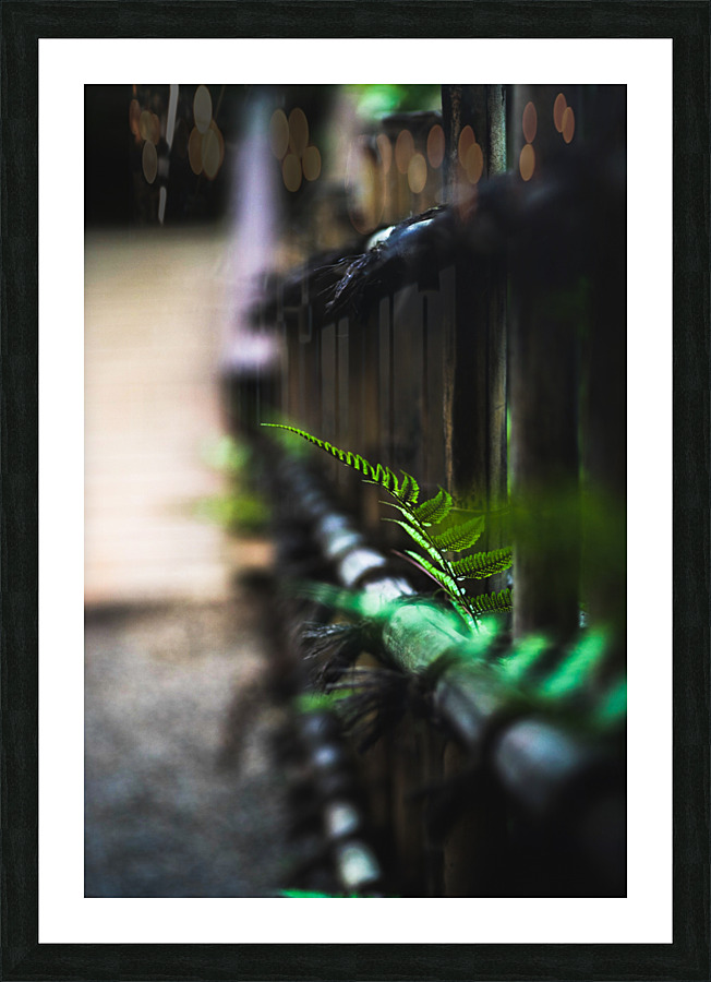 Fencing in Nature Picture Frame print