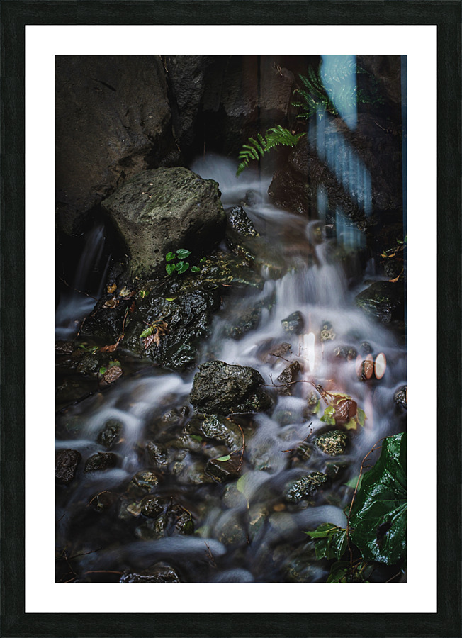 Slow Down Picture Frame print