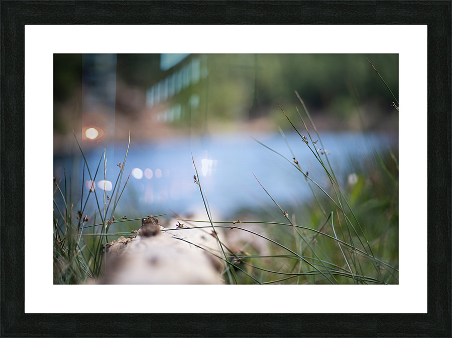 Lake View Picture Frame print
