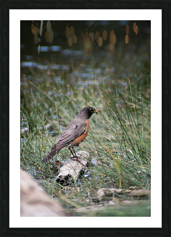 On the Hunt Picture Frame print