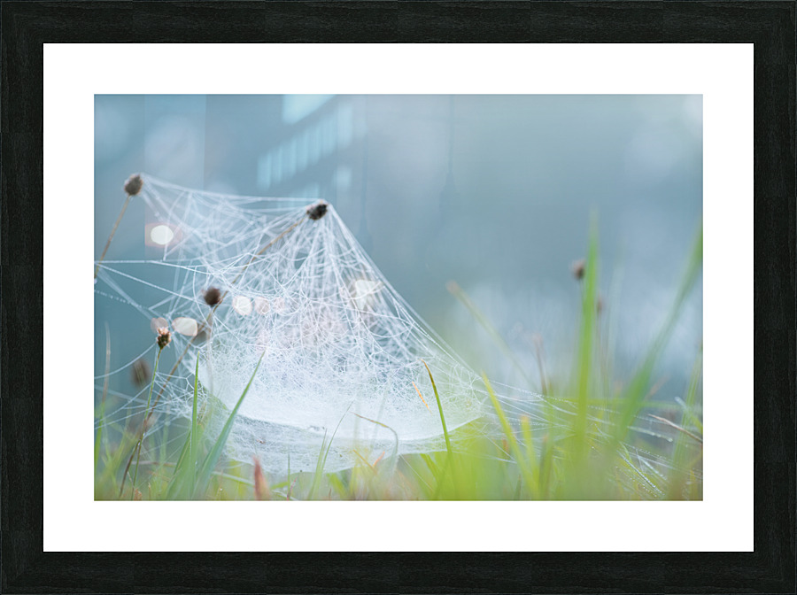 Dreamlike Dew Picture Frame print