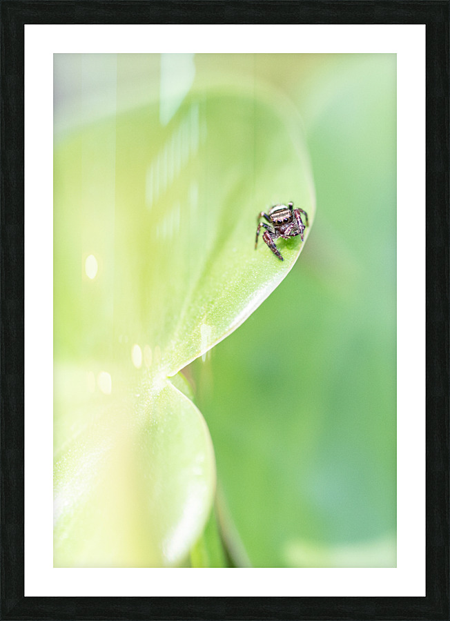 A Tiny Wave Picture Frame print