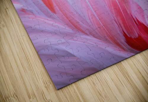 Flamingo Fire Studio 18 6 puzzle
