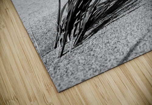 Resiliance Studio 18 6 puzzle