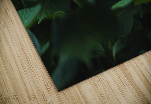 Deep in the Hydrangeas Studio 18 6 puzzle