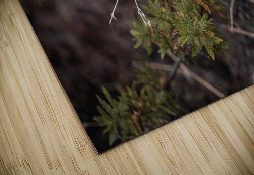 Yarrow Studio 18 6 puzzle