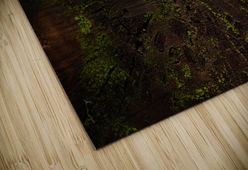 Crosscut Studio 18 6 puzzle