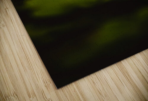 Canopy Studio 18 6 puzzle