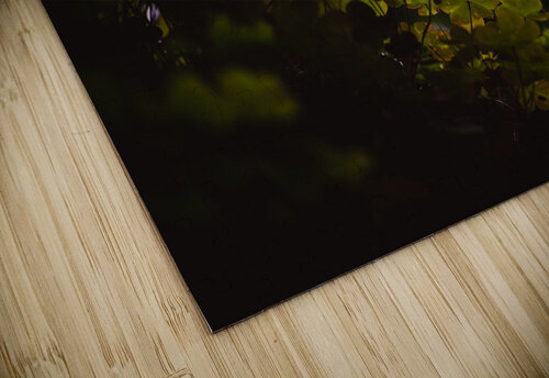 Light Up My Leaf Studio 18 6 puzzle