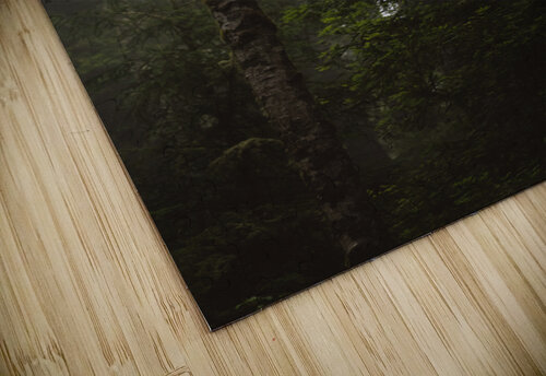 Misty Studio 18 6 puzzle