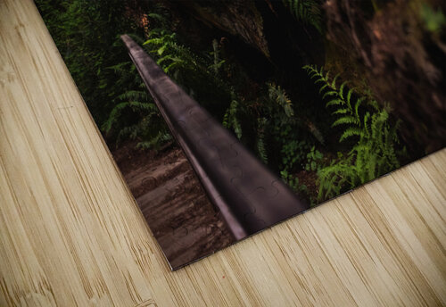 Forest Floor Studio 18 6 puzzle