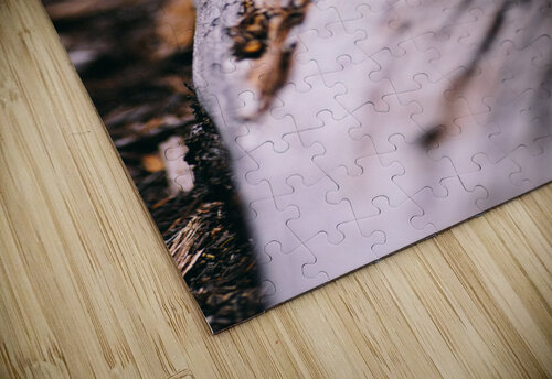 Twist Studio 18 6 puzzle