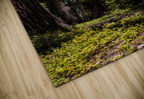 Cover Studio 18 6 puzzle
