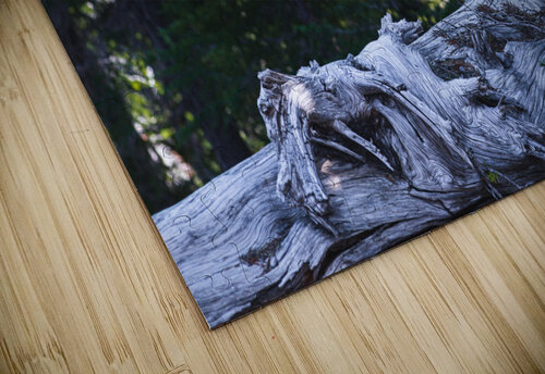 Cedar Studio 18 6 puzzle