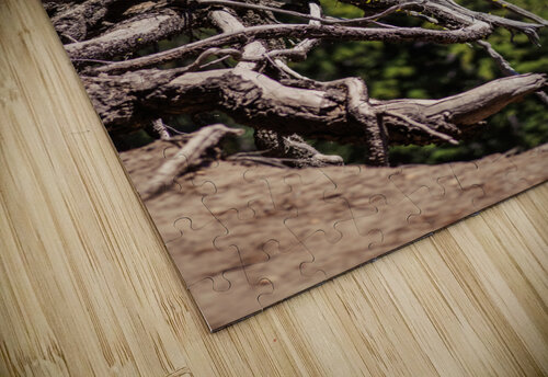 Over the Edge Studio 18 6 puzzle