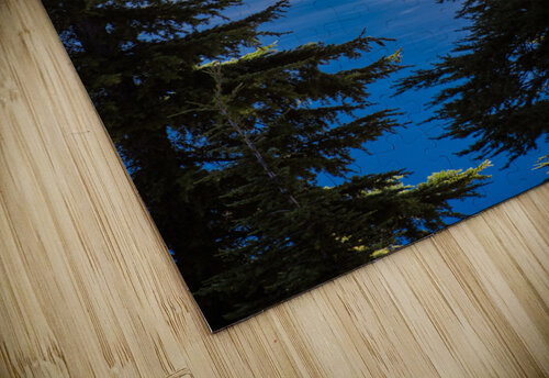 Between the Firs Studio 18 6 puzzle