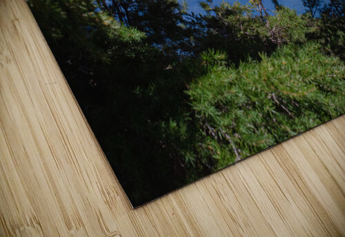 Window View Studio 18 6 puzzle