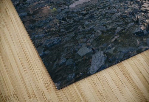 Vidae Studio 18 6 puzzle
