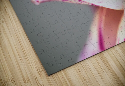 Behind the Arlequin Studio 18 6 puzzle