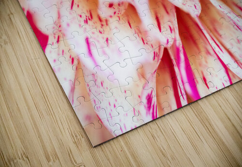 Into Arlequin Studio 18 6 puzzle