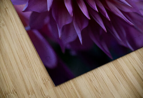 Waiting to Open Studio 18 6 puzzle
