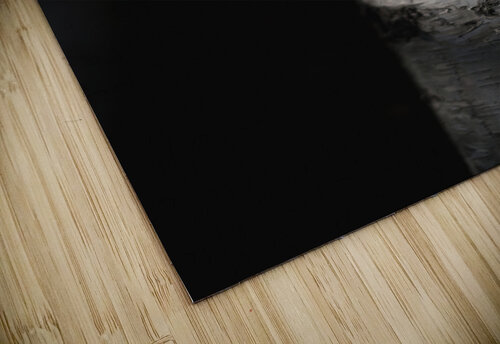Quake in Contrast Studio 18 6 puzzle