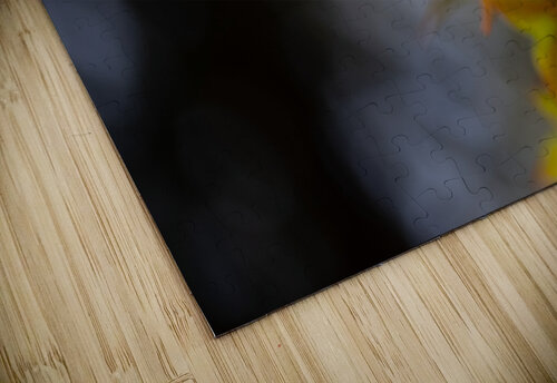 Maple Studio 18 6 puzzle