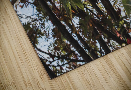 The Whispering Tree Studio 18 6 puzzle