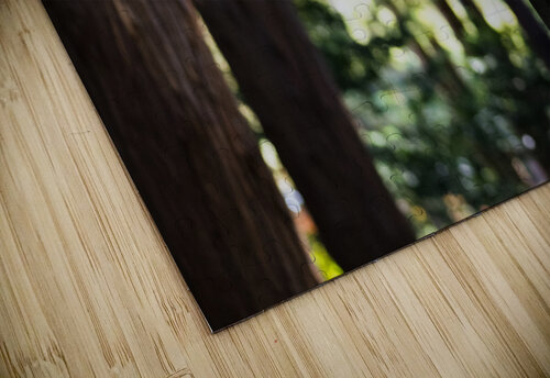 Maruyama Studio 18 6 puzzle