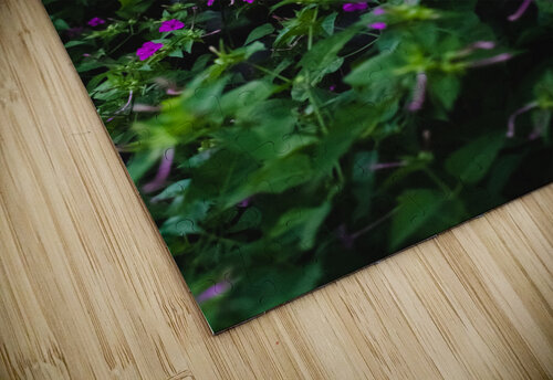 Retainer Studio 18 6 puzzle
