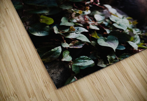 Finding the Crevices  Studio 18 6 puzzle