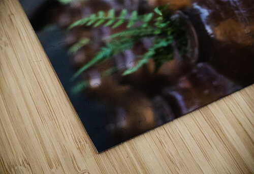 Ferns Studio 18 6 puzzle